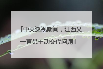 中央巡视期间，江西又一官员主动交代问题
