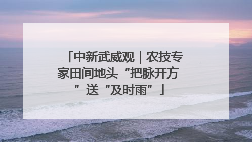 中新武威观｜农技专家田间地头“把脉开方”送“及时雨”