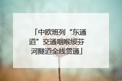 中欧班列“东通道”交通咽喉绥芬河隧道全线贯通