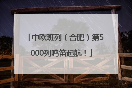 中欧班列（合肥）第5000列鸣笛起航！
