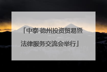 中泰·德州投资贸易暨法律服务交流会举行
