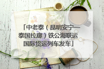 中老泰（昆明安宁—泰国拉廊）铁公海联运国际货运列车发车