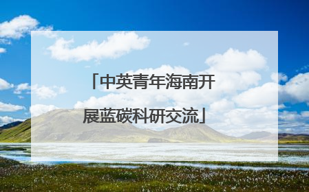 中英青年海南开展蓝碳科研交流