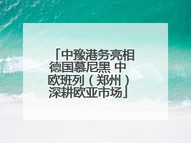 中豫港务亮相德国慕尼黑 中欧班列（郑州）深耕欧亚市场