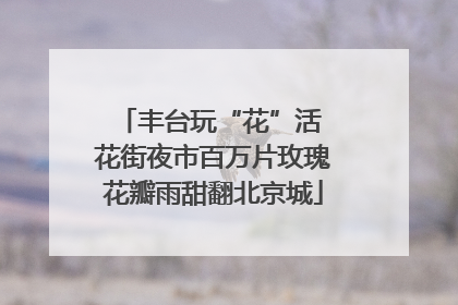 丰台玩“花”活 花街夜市百万片玫瑰花瓣雨甜翻北京城