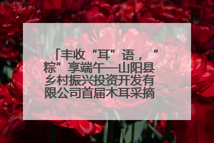 丰收“耳”语，“粽”享端午—山阳县乡村振兴投资开发有限公司首届木耳采摘活动盛大启幕