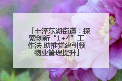 丰泽东湖街道：探索创新“1+4”工作法 助推党建引领物业管理提升