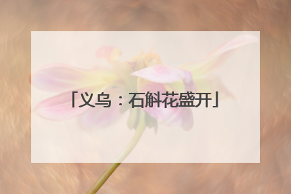 义乌：石斛花盛开