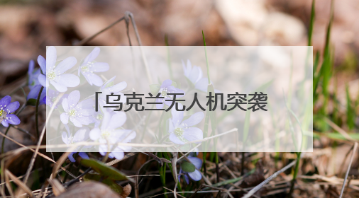 乌克兰无人机突袭俄战机,内应是他?曾在基辅当DJ,去年底开了货运公司
