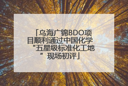 乌海广锦BDO项目顺利通过中国化学“五星级标准化工地”现场初评