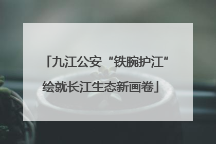 九江公安“铁腕护江”绘就长江生态新画卷