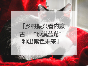 乡村振兴看内蒙古｜“沙漠蓝莓”种出紫色未来