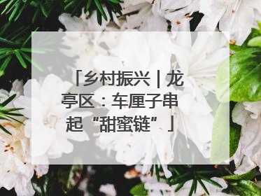 乡村振兴｜龙亭区：车厘子串起“甜蜜链”