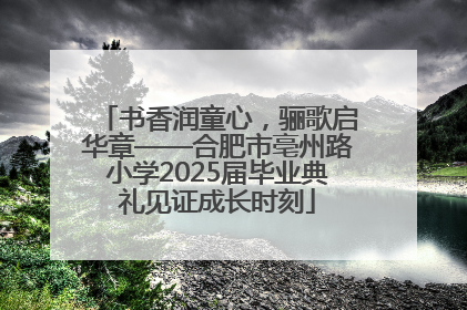 书香润童心，骊歌启华章——合肥市亳州路小学2025届毕业典礼见证成长时刻