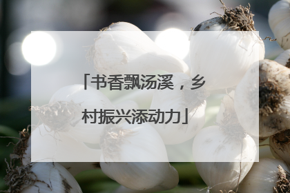 书香飘汤溪，乡村振兴添动力