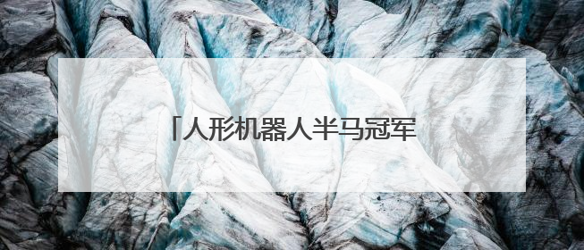 人形机器人半马冠军的“同胞兄弟”亮相深圳文博会北京展区