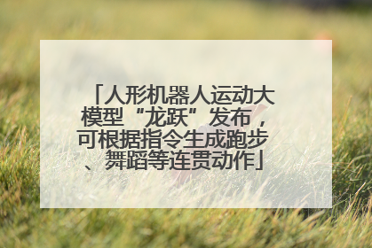 人形机器人运动大模型“龙跃”发布，可根据指令生成跑步、舞蹈等连贯动作