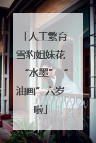 人工繁育雪豹姐妹花“水墨”“油画”六岁啦