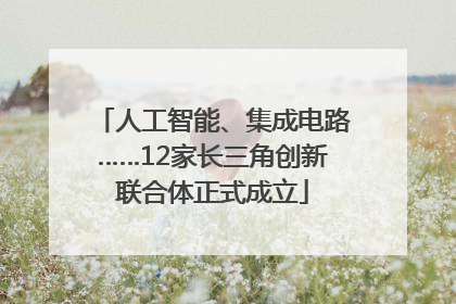 人工智能、集成电路……12家长三角创新联合体正式成立