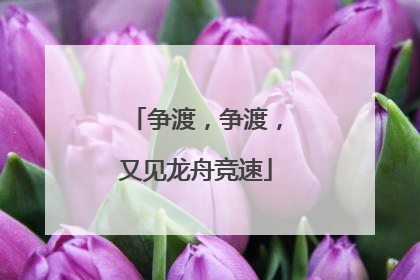 争渡，争渡，又见龙舟竞速