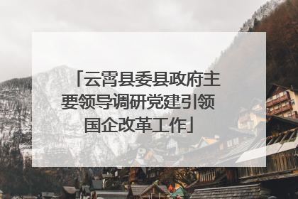 云霄县委县政府主要领导调研党建引领国企改革工作