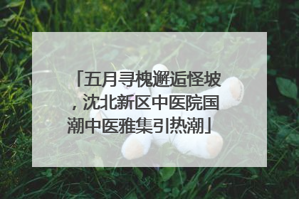 五月寻槐邂逅怪坡，沈北新区中医院国潮中医雅集引热潮