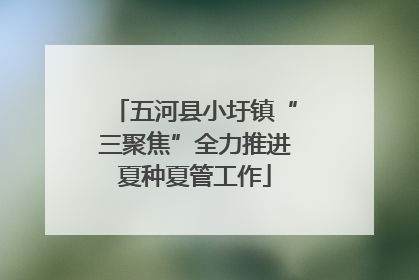 五河县小圩镇“三聚焦”全力推进夏种夏管工作