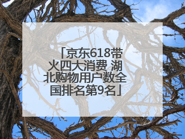 京东618带火四大消费 湖北购物用户数全国排名第9名