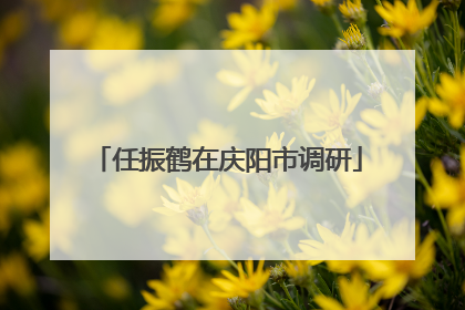 任振鹤在庆阳市调研