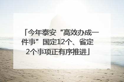 今年泰安“高效办成一件事”国定12个、省定2个事项正有序推进