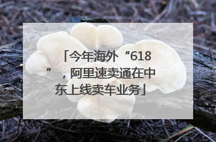 今年海外“618”，阿里速卖通在中东上线卖车业务