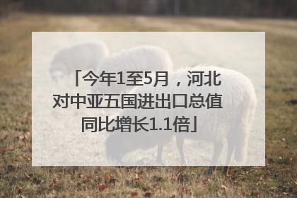 今年1至5月，河北对中亚五国进出口总值同比增长1.1倍