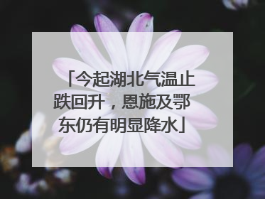 今起湖北气温止跌回升，恩施及鄂东仍有明显降水