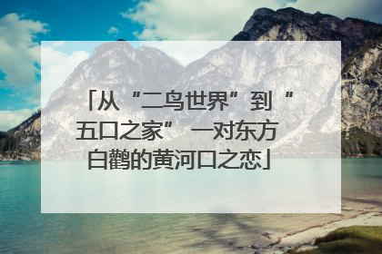 从“二鸟世界”到“五口之家” 一对东方白鹳的黄河口之恋