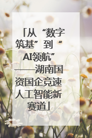 从“数字筑基”到“AI领航”——湖南国资国企竞速人工智能新赛道