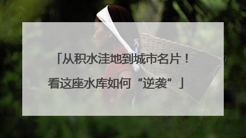 从积水洼地到城市名片！看这座水库如何“逆袭”