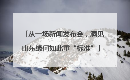 从一场新闻发布会，洞见山东缘何如此重“标准”
