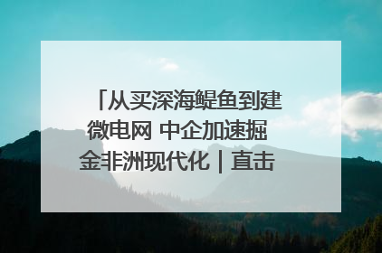 从买深海鳀鱼到建微电网 中企加速掘金非洲现代化｜直击中非经贸博览会