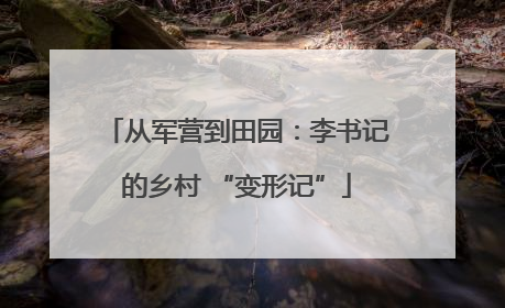 从军营到田园：李书记的乡村 “变形记”