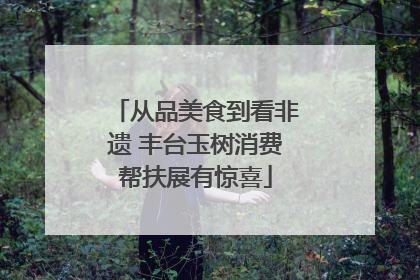 从品美食到看非遗 丰台玉树消费帮扶展有惊喜