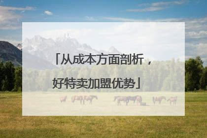 从成本方面剖析，好特卖加盟优势