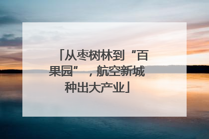 从枣树林到“百果园”，航空新城种出大产业