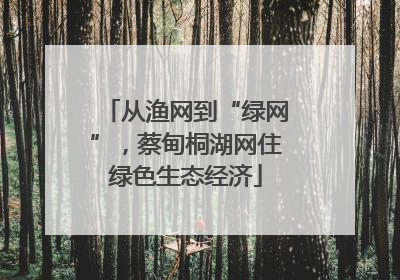 从渔网到“绿网”，蔡甸桐湖网住绿色生态经济