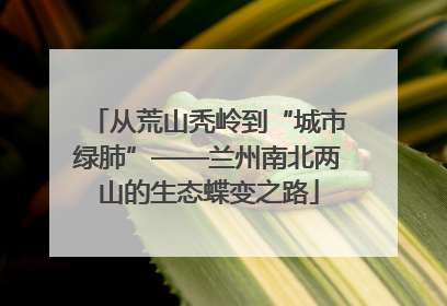 从荒山秃岭到“城市绿肺”——兰州南北两山的生态蝶变之路