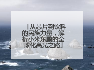 从芯片到饮料的民族力量，解析小米东鹏的全球化高光之路