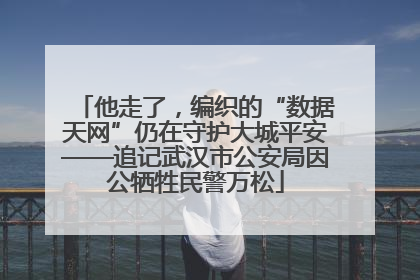 他走了，编织的“数据天网”仍在守护大城平安——追记武汉市公安局因公牺牲民警万松
