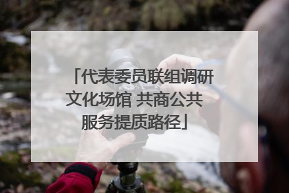 代表委员联组调研文化场馆 共商公共服务提质路径