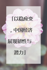 以稳应变，中国经济展现韧性与潜力