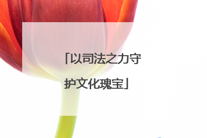 以司法之力守护文化瑰宝