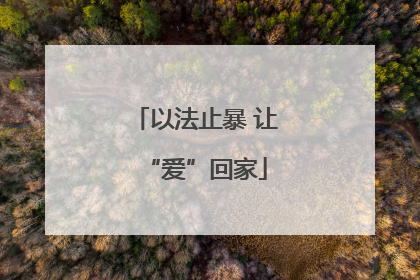 以法止暴 让“爱”回家